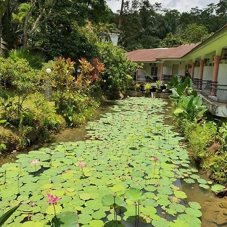 Seri Pengantin Resort Kampung Janda Baik Exterior foto