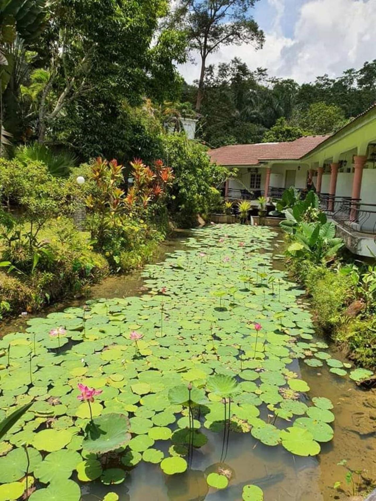 Seri Pengantin Resort Kampung Janda Baik Exterior foto