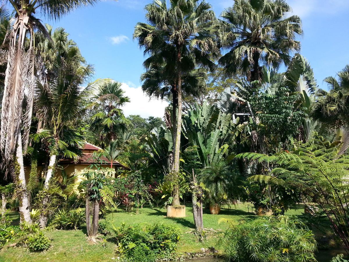 Seri Pengantin Resort Kampung Janda Baik Exterior foto